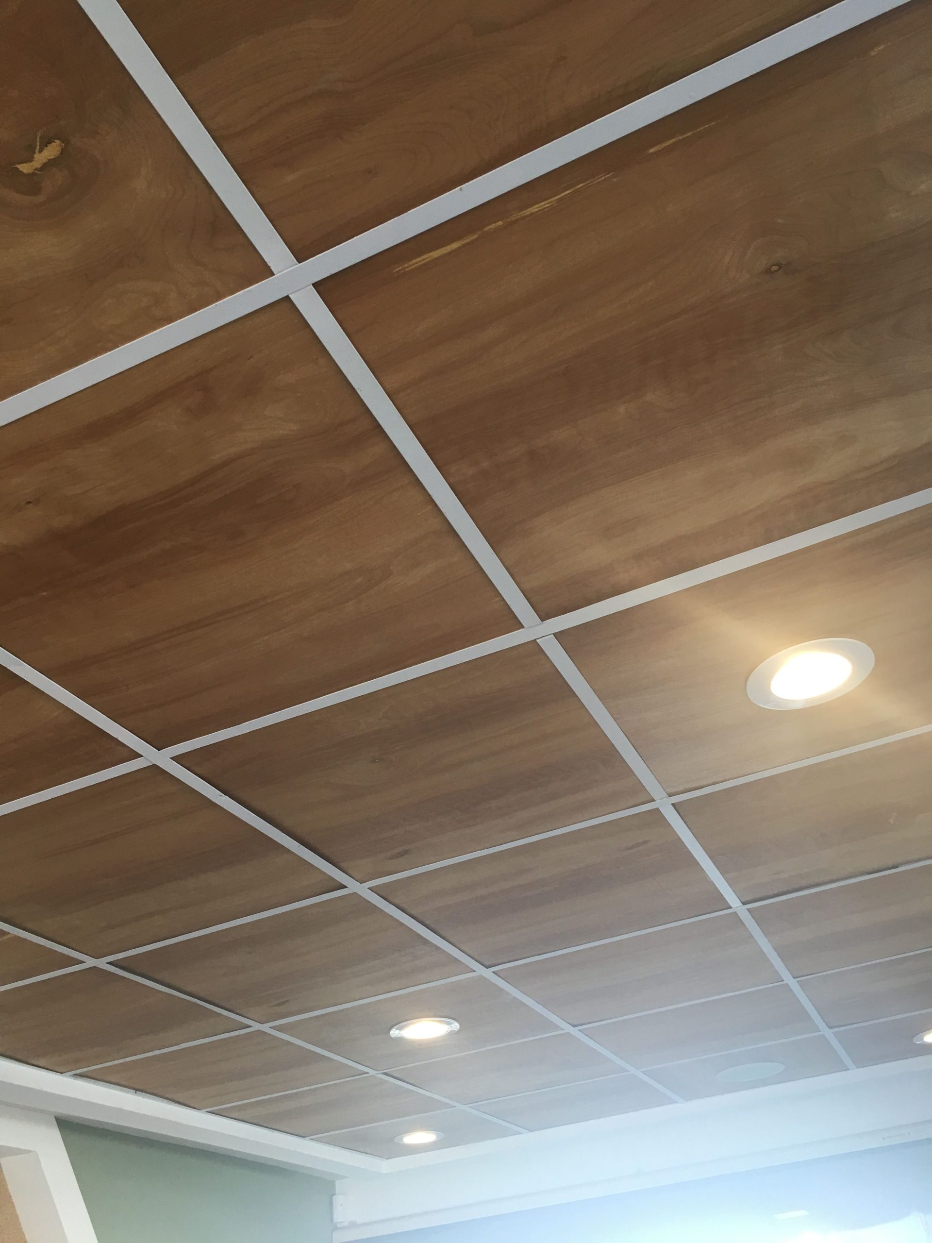 replace drop ceiling tiles