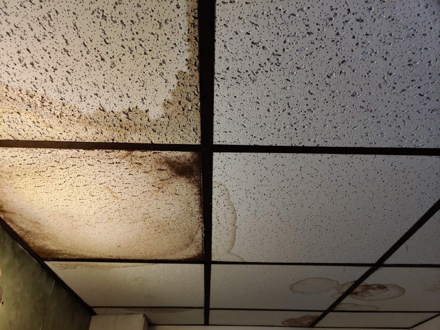 do ceiling tiles have asbestos