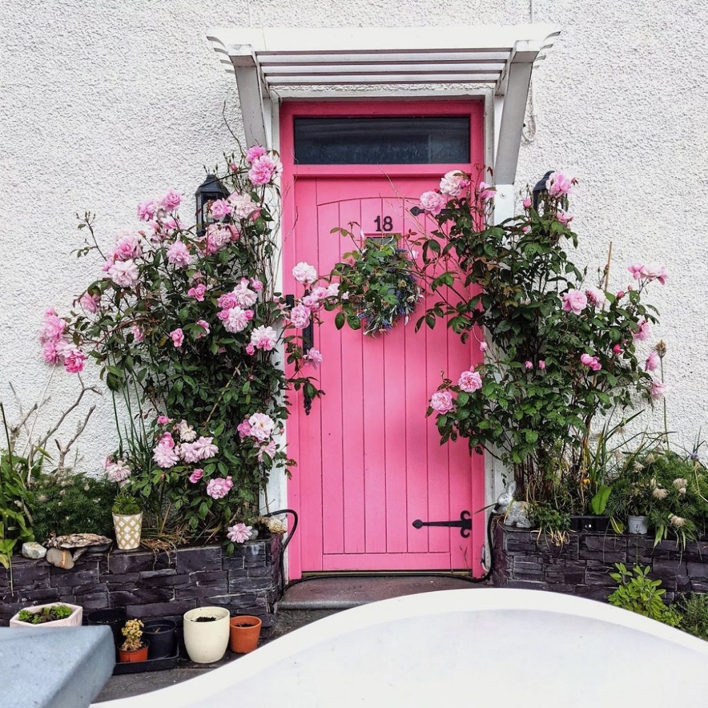 pinky doors